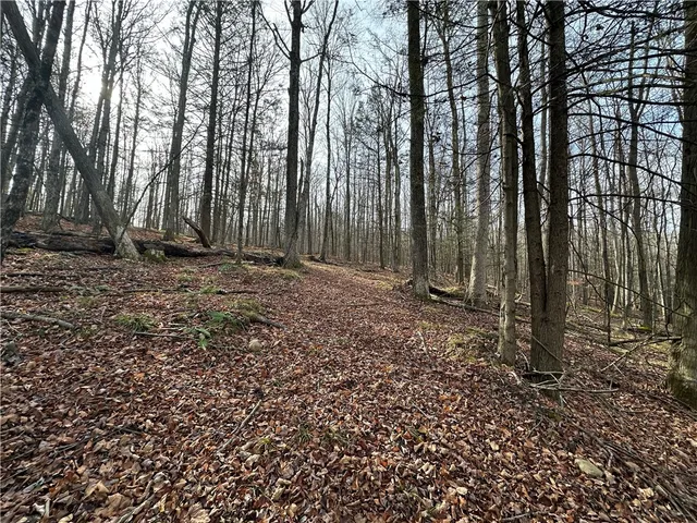 $50,000 | Tinkertown Road, Addison, NY 14801