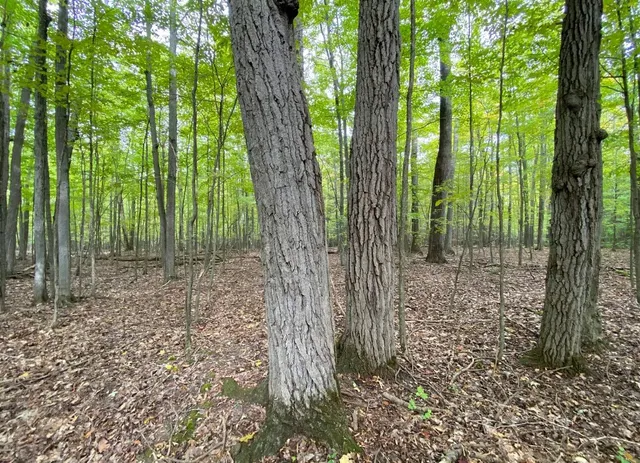 $50,000 | Tinkertown Road, Addison, NY 14801