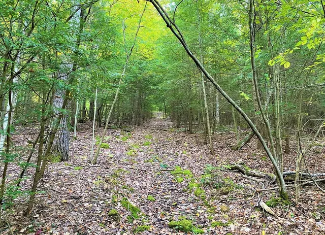 $50,000 | Tinkertown Road, Addison, NY 14801