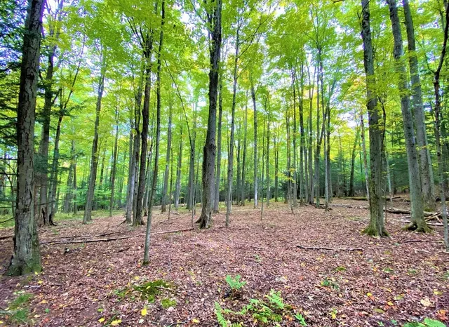 $50,000 | Tinkertown Road, Addison, NY 14801