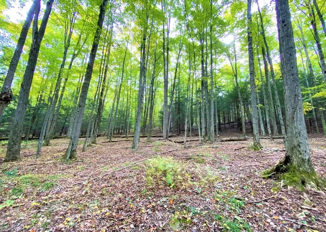 $50,000 | Tinkertown Road, Addison, NY 14801