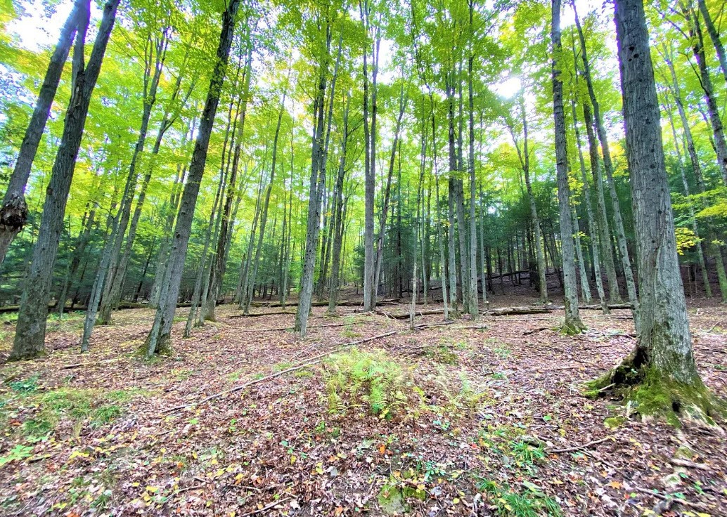 Tinkertown Road Addison, NY 14801 - Photo 27 of 50