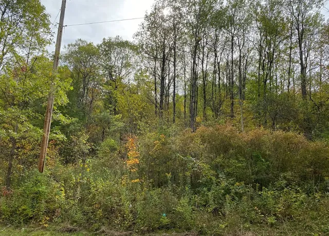 $50,000 | Tinkertown Road, Addison, NY 14801