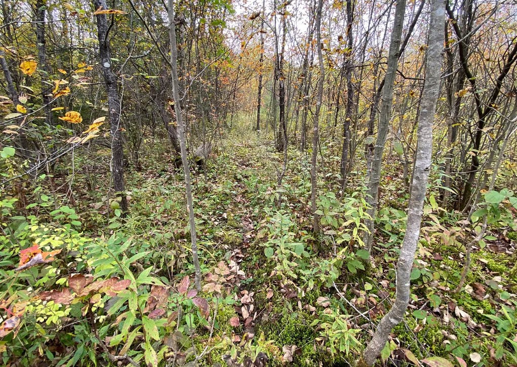 Tinkertown Road Addison, NY 14801 - Photo 29 of 50