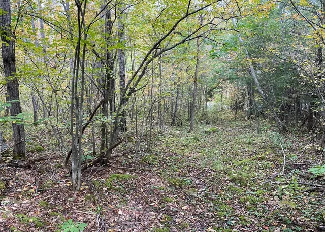 $50,000 | Tinkertown Road, Addison, NY 14801