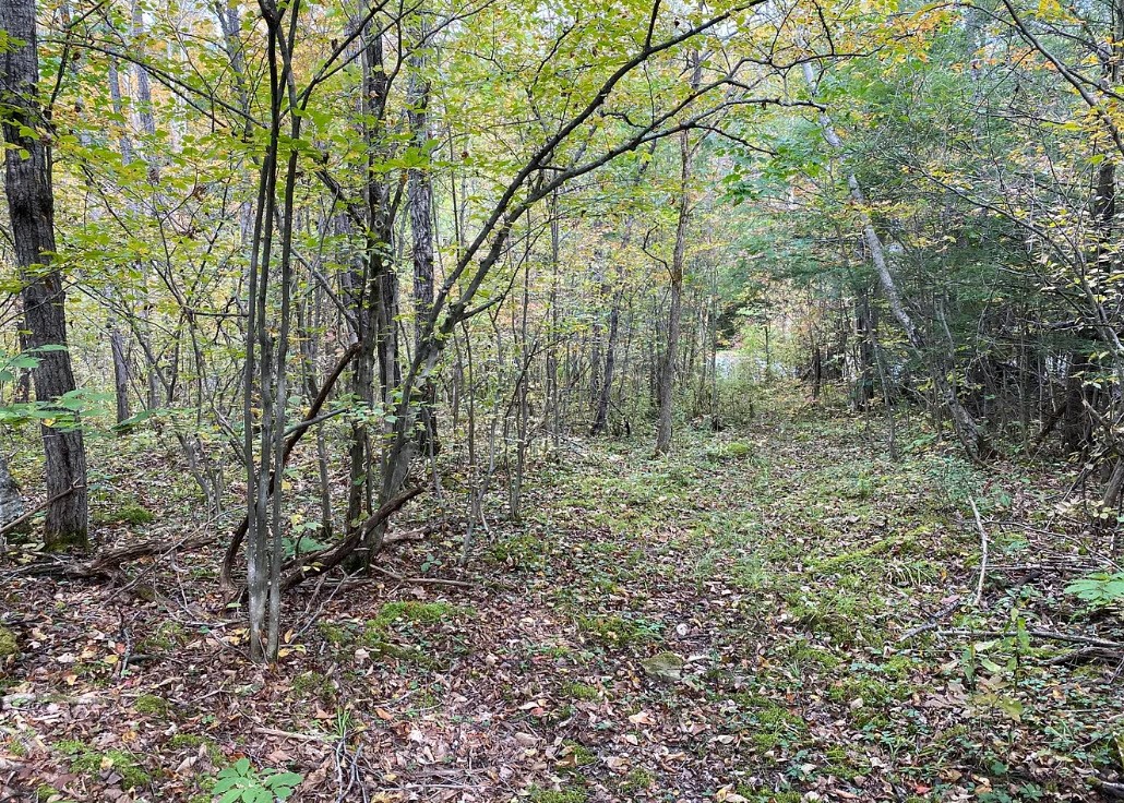 Tinkertown Road Addison, NY 14801 - Photo 30 of 50