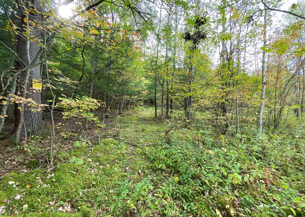 Tinkertown Road Addison, NY 14801 - Photo 31 of 50