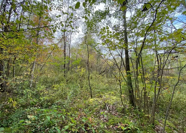 $50,000 | Tinkertown Road, Addison, NY 14801