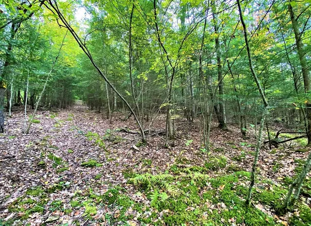 $50,000 | Tinkertown Road, Addison, NY 14801