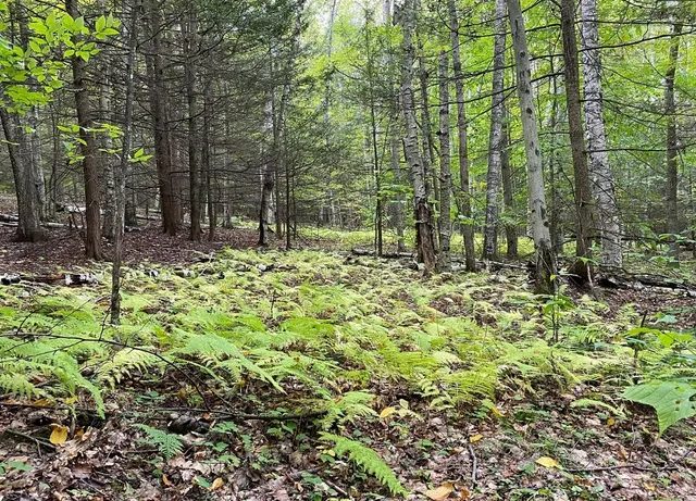 $50,000 | Tinkertown Road, Addison, NY 14801