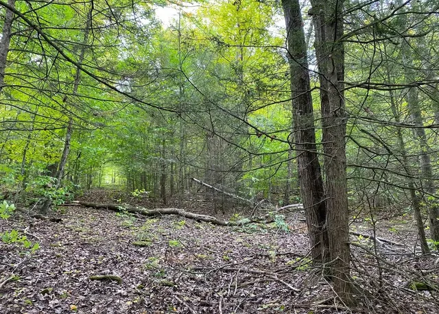 $50,000 | Tinkertown Road, Addison, NY 14801