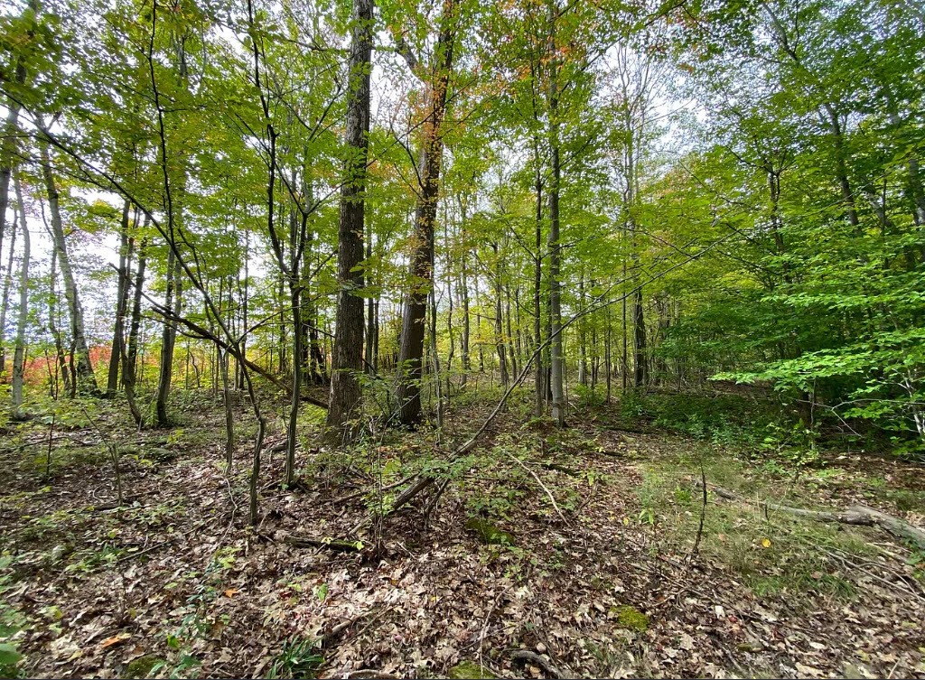Tinkertown Road Addison, NY 14801 - Photo 37 of 50