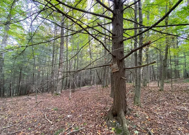 $50,000 | Tinkertown Road, Addison, NY 14801