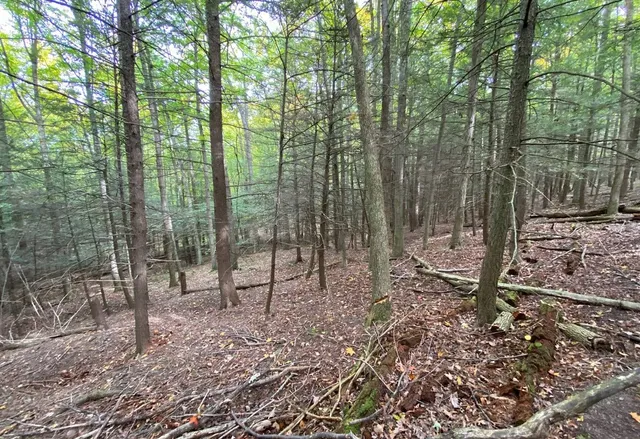 $50,000 | Tinkertown Road, Addison, NY 14801