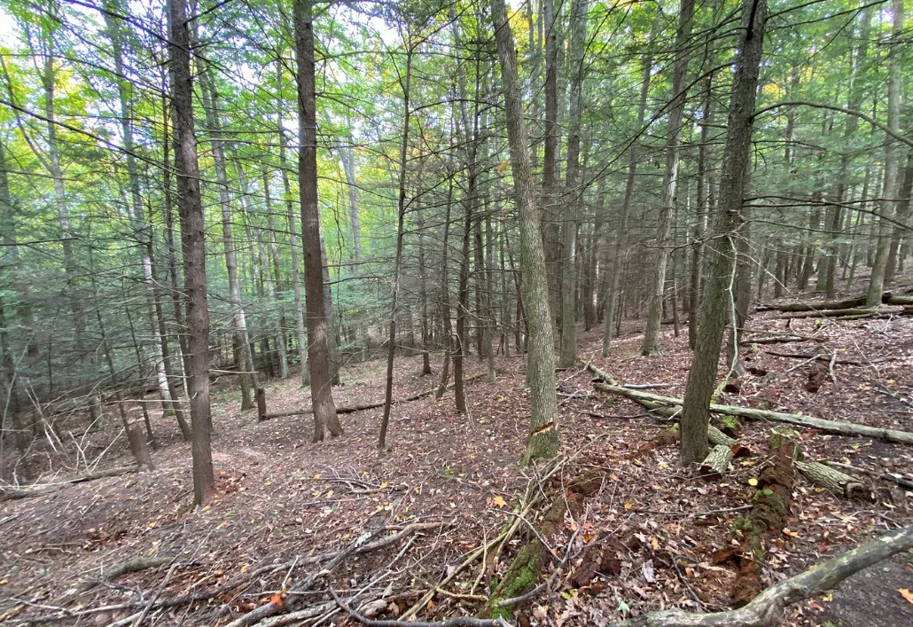 Tinkertown Road Addison, NY 14801 - Photo 40 of 50