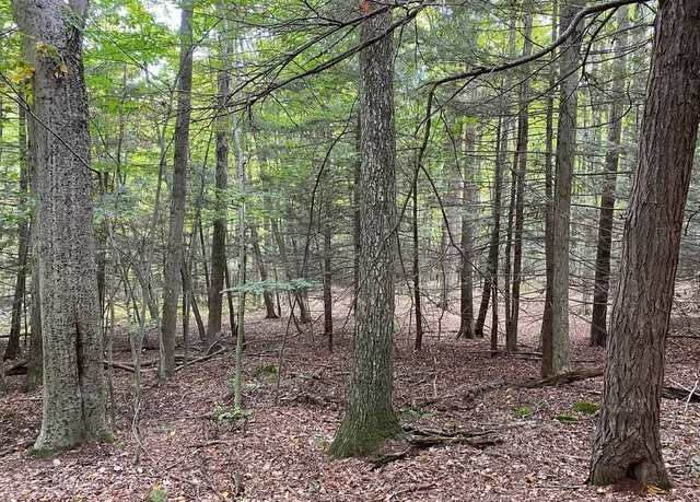 $50,000 | Tinkertown Road, Addison, NY 14801