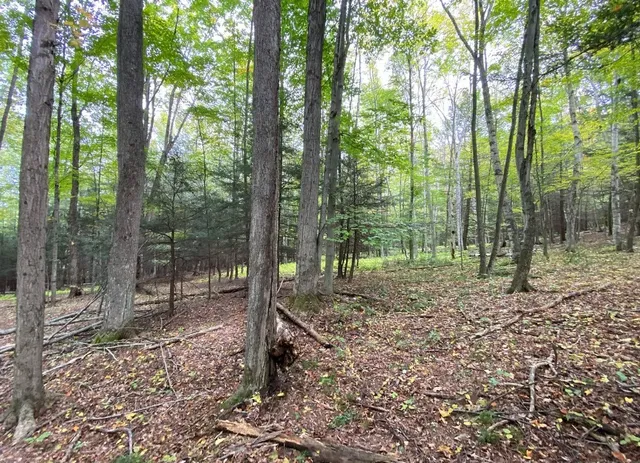 $50,000 | Tinkertown Road, Addison, NY 14801