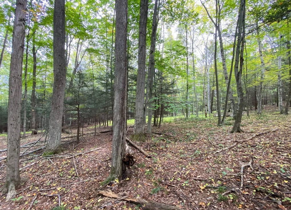 Tinkertown Road Addison, NY 14801 - Photo 42 of 50