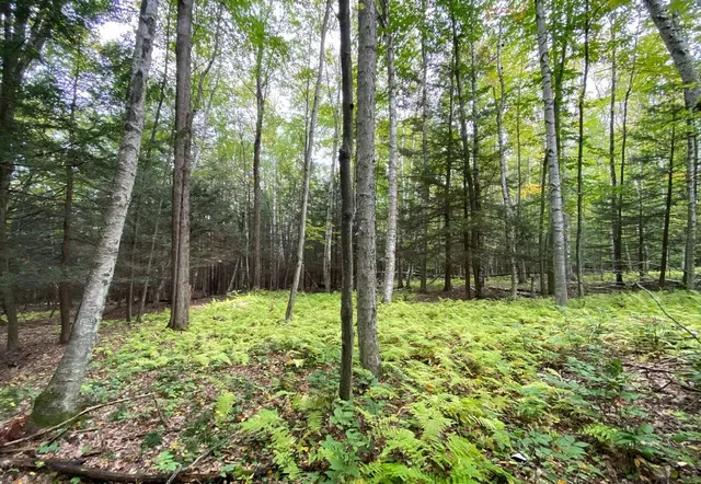 $50,000 | Tinkertown Road, Addison, NY 14801