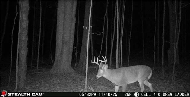 $50,000 | Tinkertown Road, Addison, NY 14801