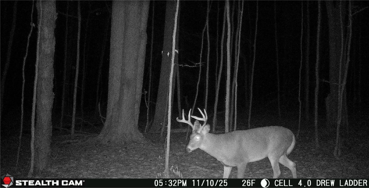 Tinkertown Road Addison, NY 14801 - Photo 46 of 50