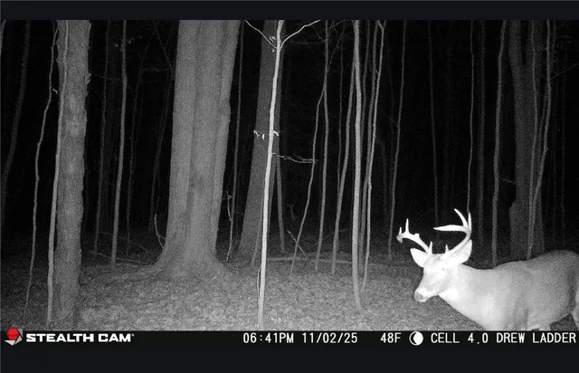 $50,000 | Tinkertown Road, Addison, NY 14801