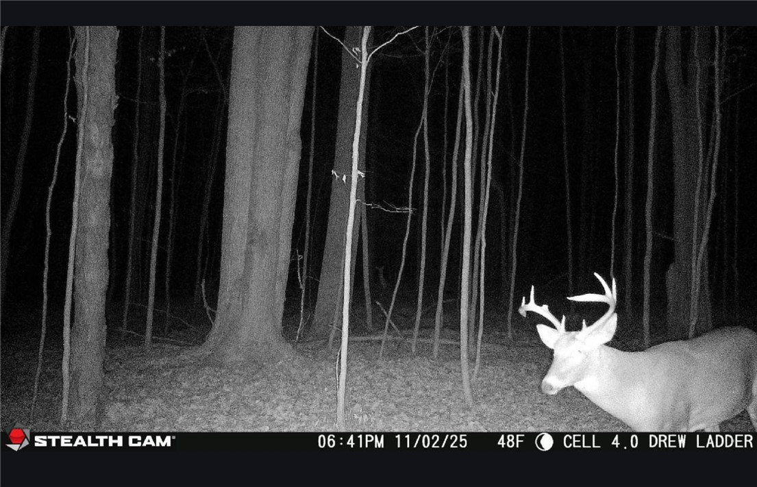 Tinkertown Road Addison, NY 14801 - Photo 47 of 50