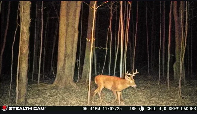 $50,000 | Tinkertown Road, Addison, NY 14801