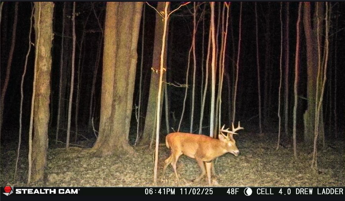 Tinkertown Road Addison, NY 14801 - Photo 48 of 50