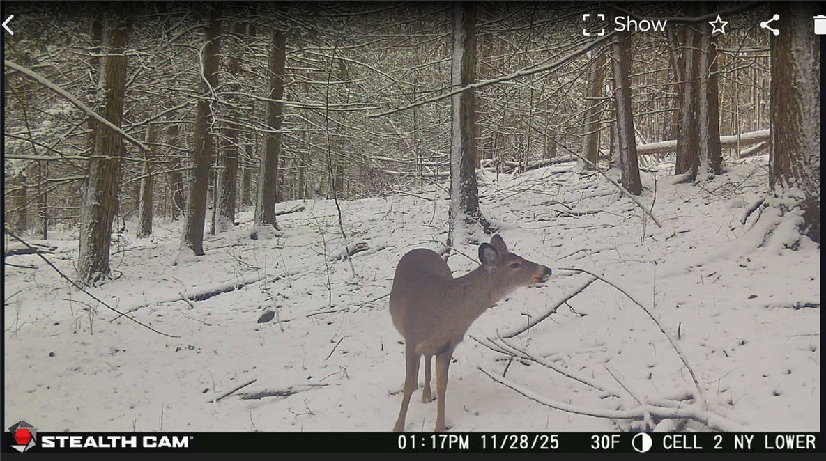 Tinkertown Road Addison, NY 14801 - Photo 50 of 50