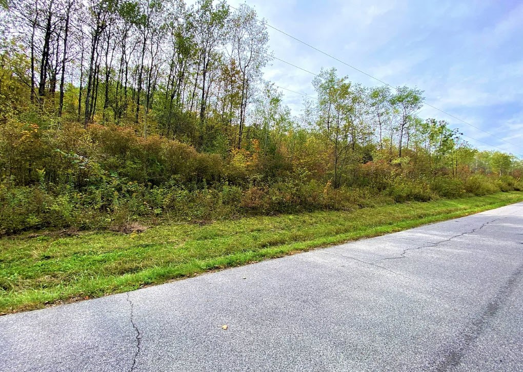 Tinkertown Road Addison, NY 14801 - Photo 7 of 50
