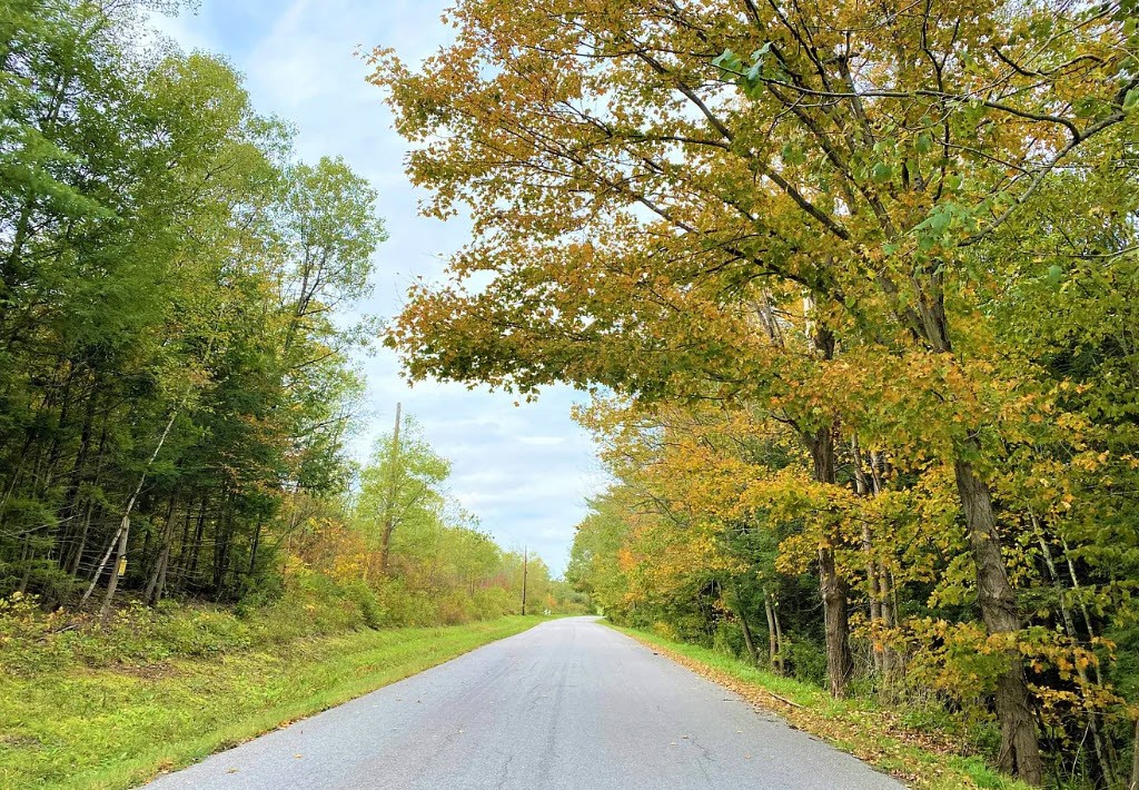 Tinkertown Road Addison, NY 14801 - Photo 8 of 50