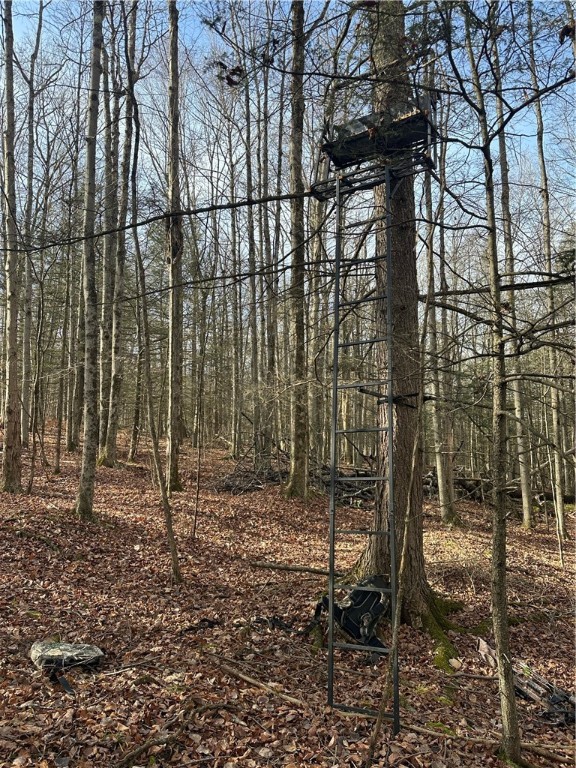 Tinkertown Road Addison, NY 14801 - Photo 9 of 50
