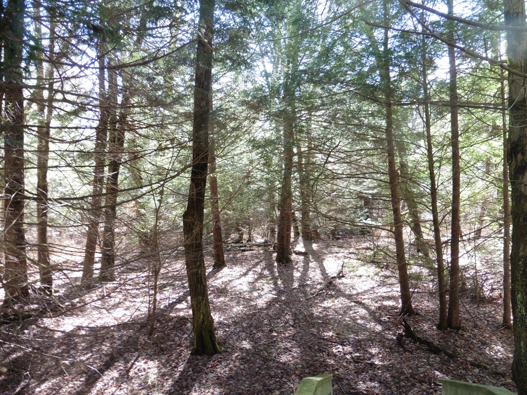 114 Stafford Road Hampden, MA 01036 - Photo 24 of 29 Gallery Image 24