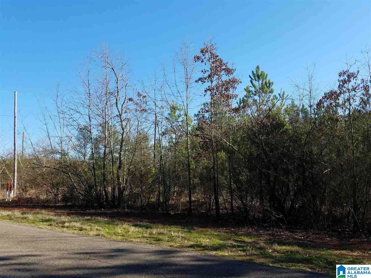 0 Cove Access Road, Unit 7 ACRES Talladega, AL 35160 - Photo 11 of 19