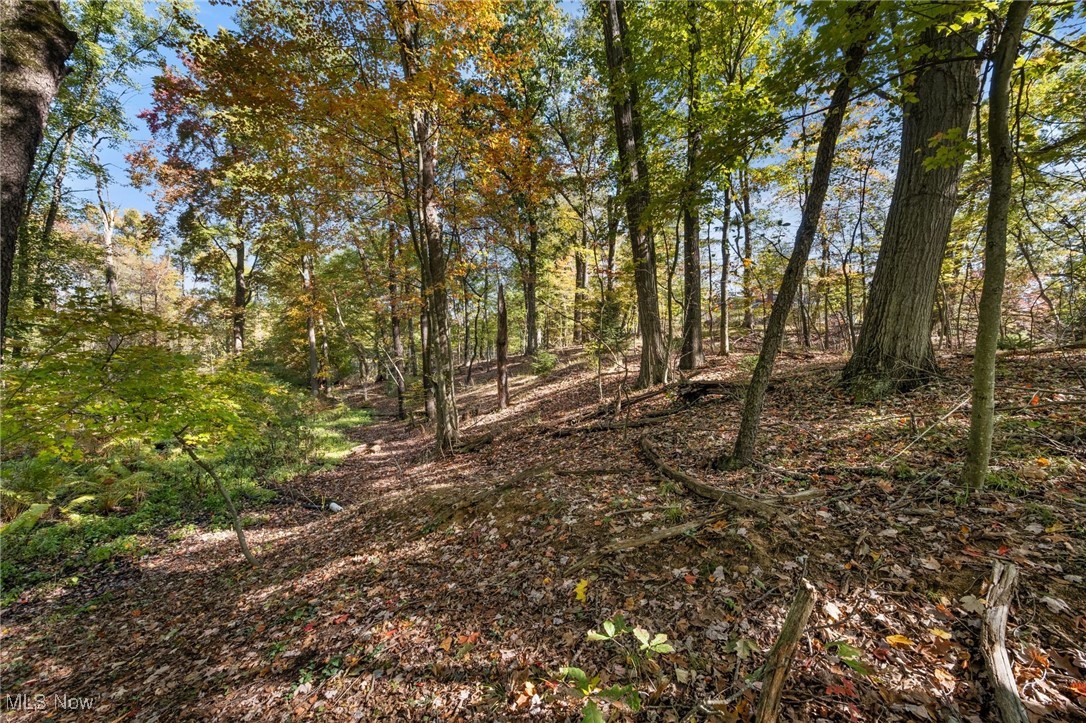 West Comet Road Clinton, OH 44216 - Photo 5 of 26 View of landscape