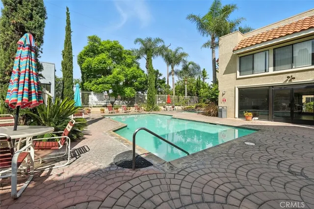 a view of a backyard with plants and palm tree