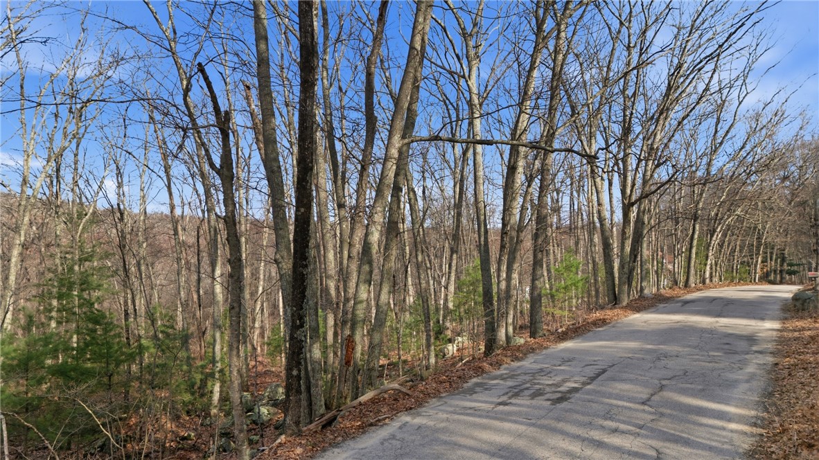 0 Carpenter Road Foster, RI 02825 - Photo 2 of 10