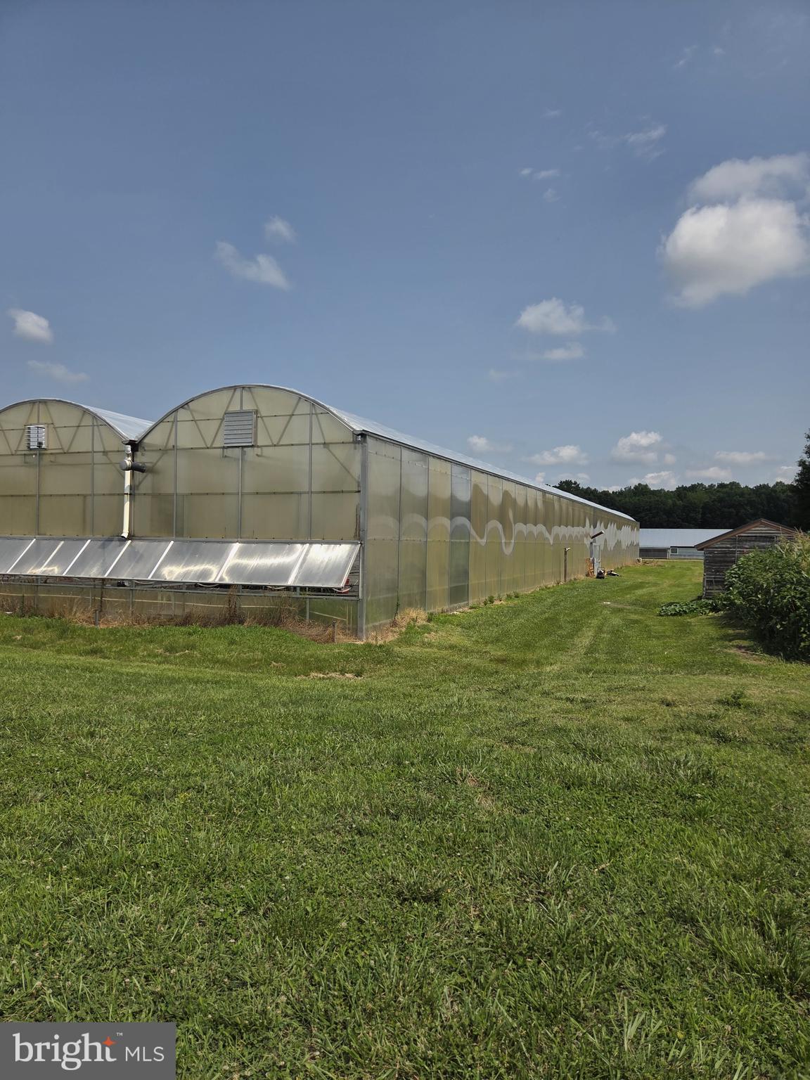 1143 Vernon Road Harrington, DE 19952 - Photo 27 of 65 1/2 acre greenhouse