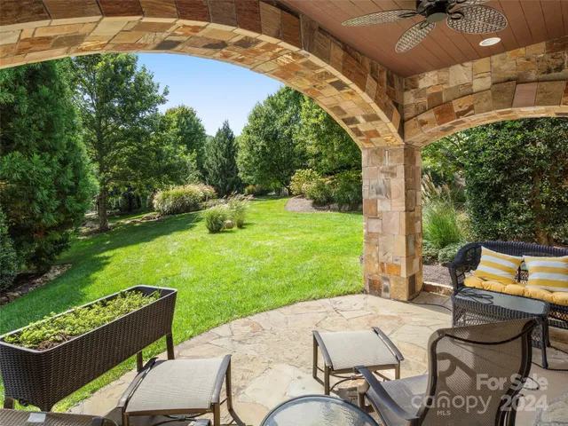a view of a yard with plants and trees