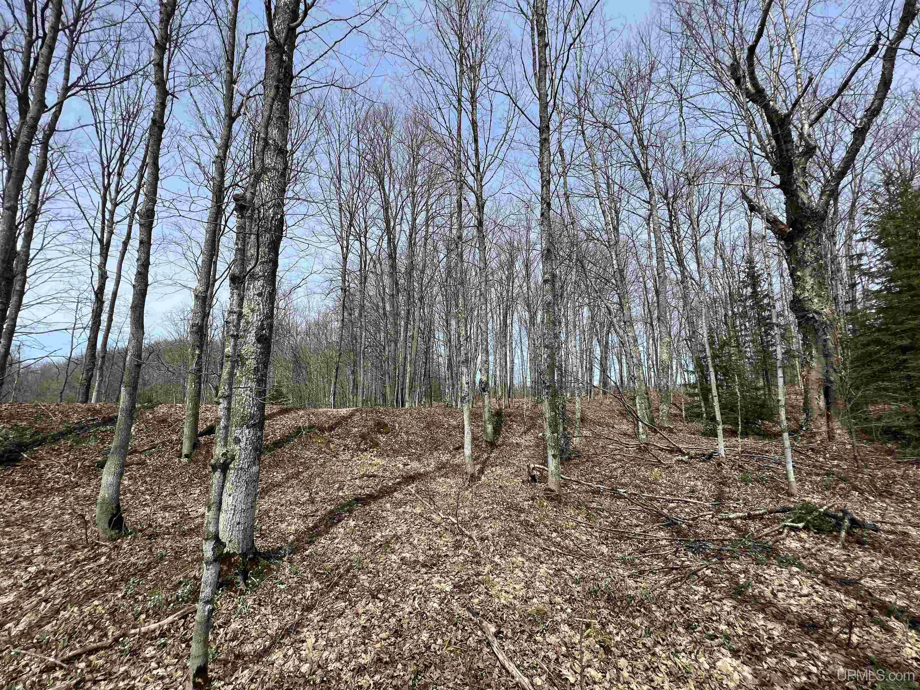 H58 St Shingleton Mi 49895 Shingleton, MI 49884 - Photo 12 of 21