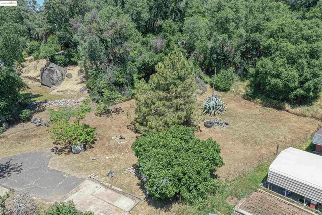 a view of a yard with plants