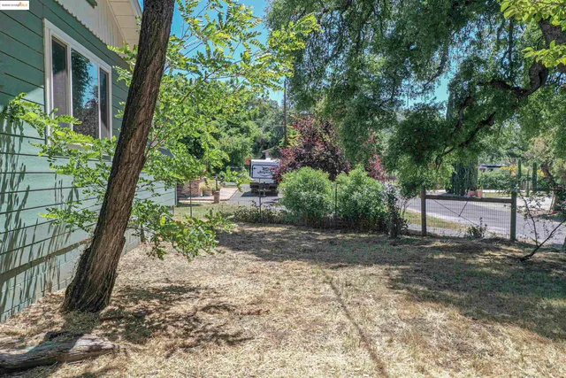 a view of a park with plants and a bench