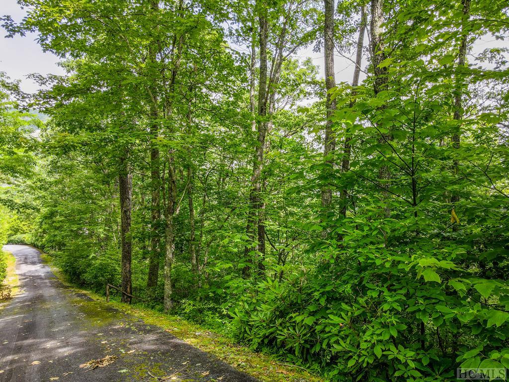 137 Teton Point Franklin, NC 28734 - Photo 11 of 27 Gallery Image 11