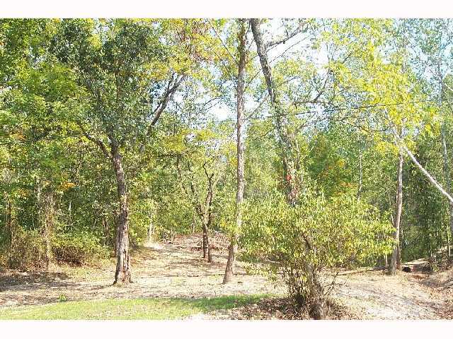 0 Spradlin Road, Unit LOT 2 Portsmouth, OH 45663 - Photo 2 of 5