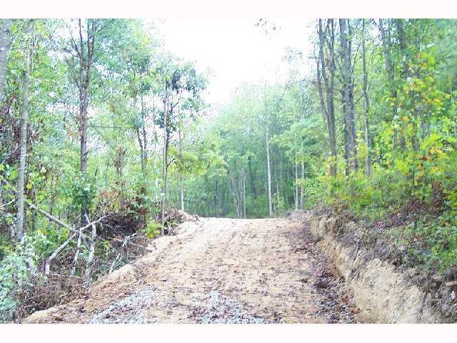 0 Spradlin Road, Unit LOT 2 Portsmouth, OH 45663 - Photo 3 of 5