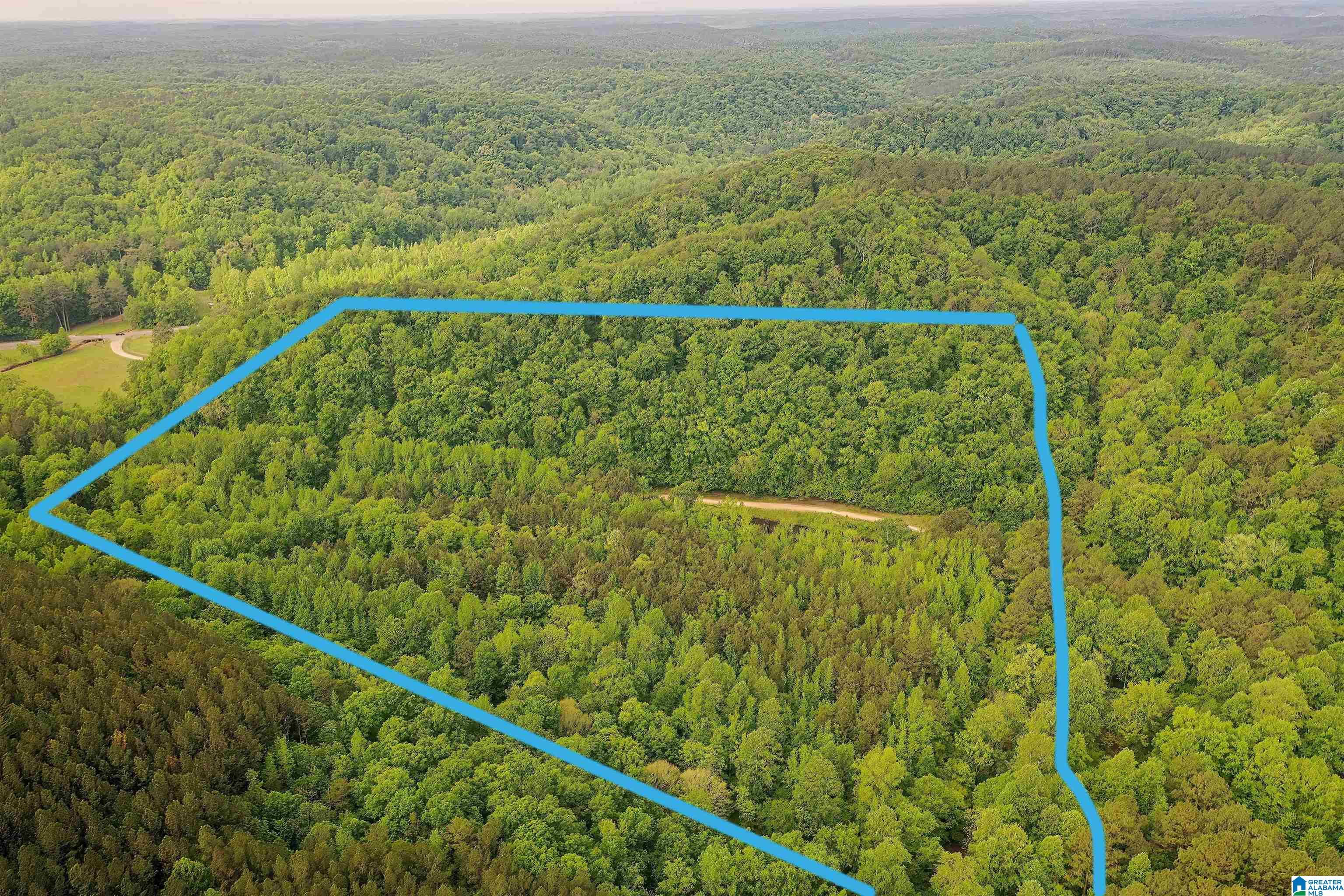 0 Wolf Creek Road Carbon Hill, AL 35549 - Photo 12 of 29