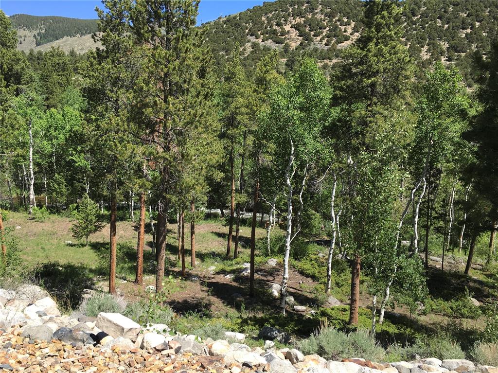 19057 Puma Path Poncha Springs, CO 81242 - Photo 3 of 45