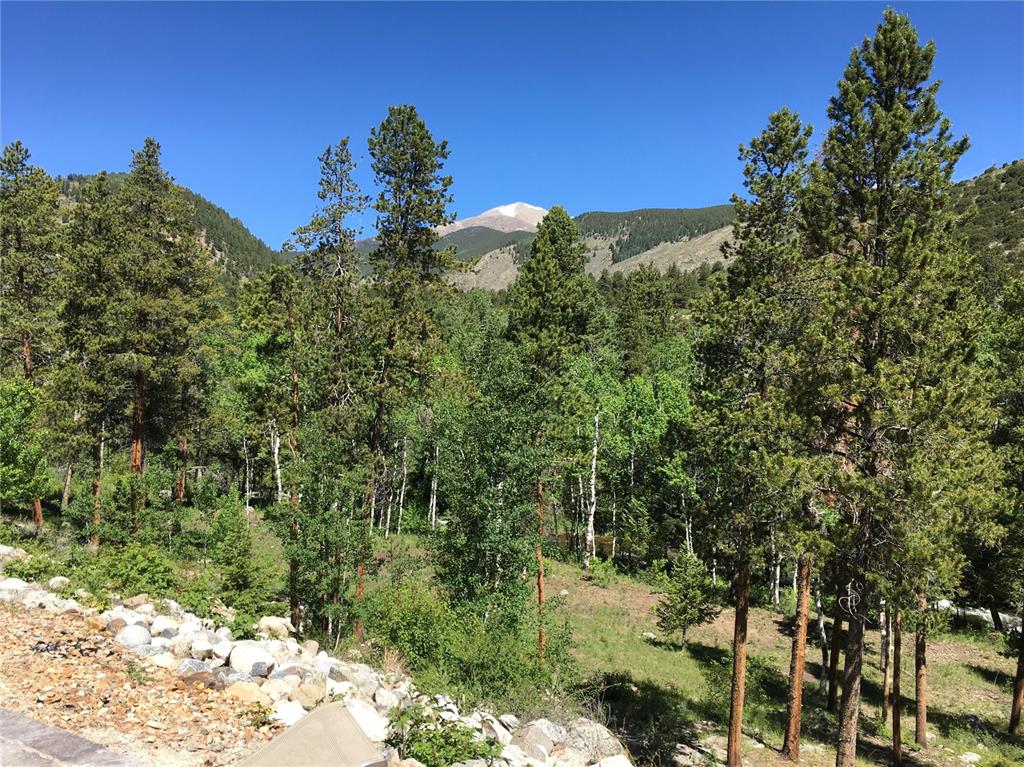 19057 Puma Path Poncha Springs, CO 81242 - Photo 4 of 45