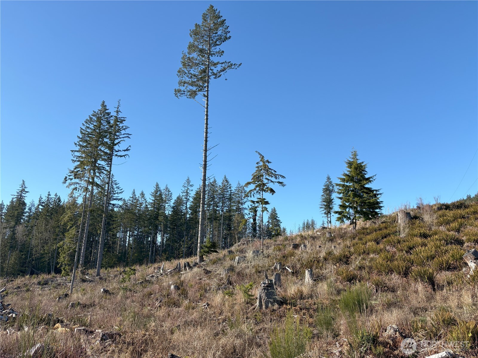 0 B-1000 Road Sequim, WA 98382 - Photo 12 of 16